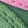Archive Green / Poised Pink