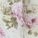 Rose Divine