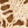 Wet Plaster