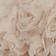 Blush Ribbon