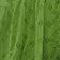 Washed Green