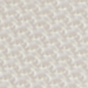 White / Ivory