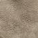 Stone Coin
