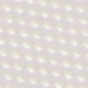 White Daisies
