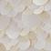 Beige / White
