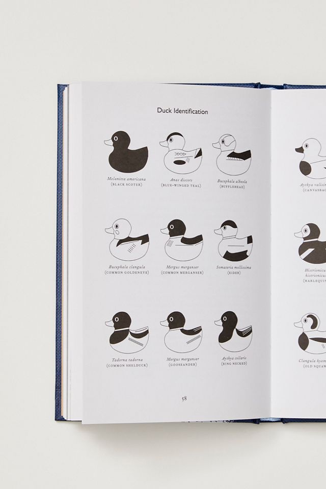 This Book Will Put You To Sleep | Free People