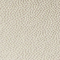 Salt / Dusky Green