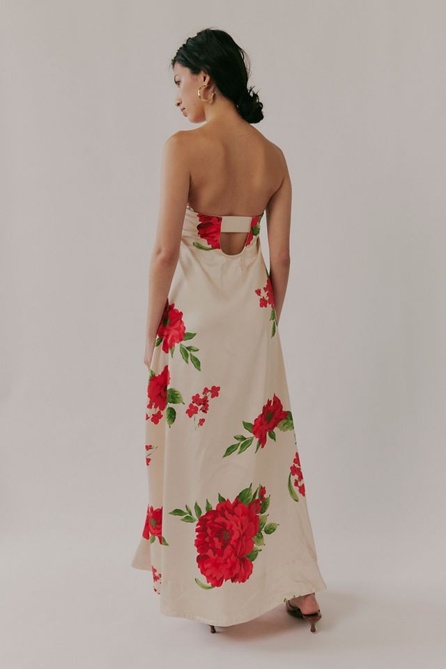 Botanical Maxi Dress #1