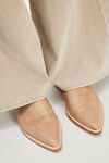 Becky Mules
