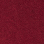 Barbados Cherry