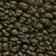 Olive / Ancient