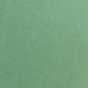 Dusty Mint