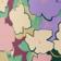 Bora Bloom