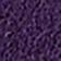 Midnight Plum / Koi