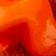 Clementine