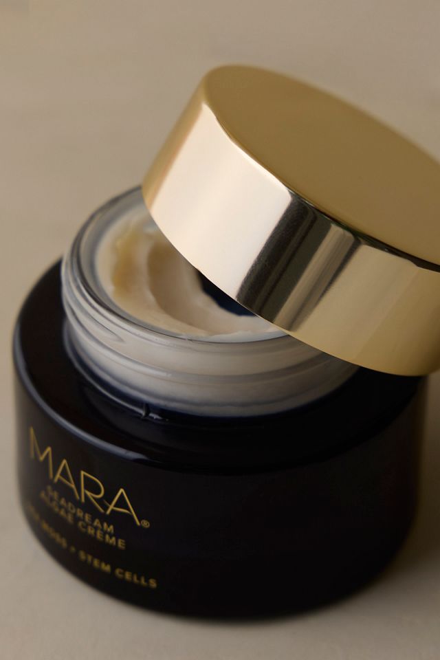Crème Hydratante MARA SeaDream Algae pour Raffermir et Resserrer avec Mousse d'Irlande + Peptides #4