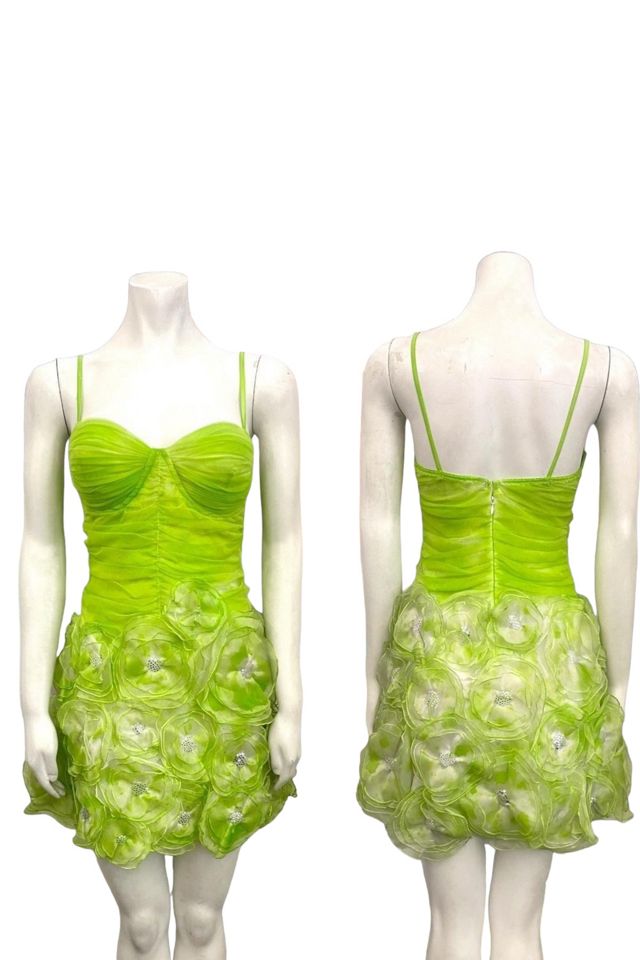 Y2K Lime Green Garden Party Dress Selected by BusyLady Baca & The Goods #1