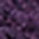 Purple Heart