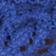 Cobalt