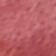 Coral Orange
