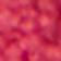 Passion Pink