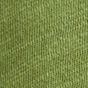Parrot Green