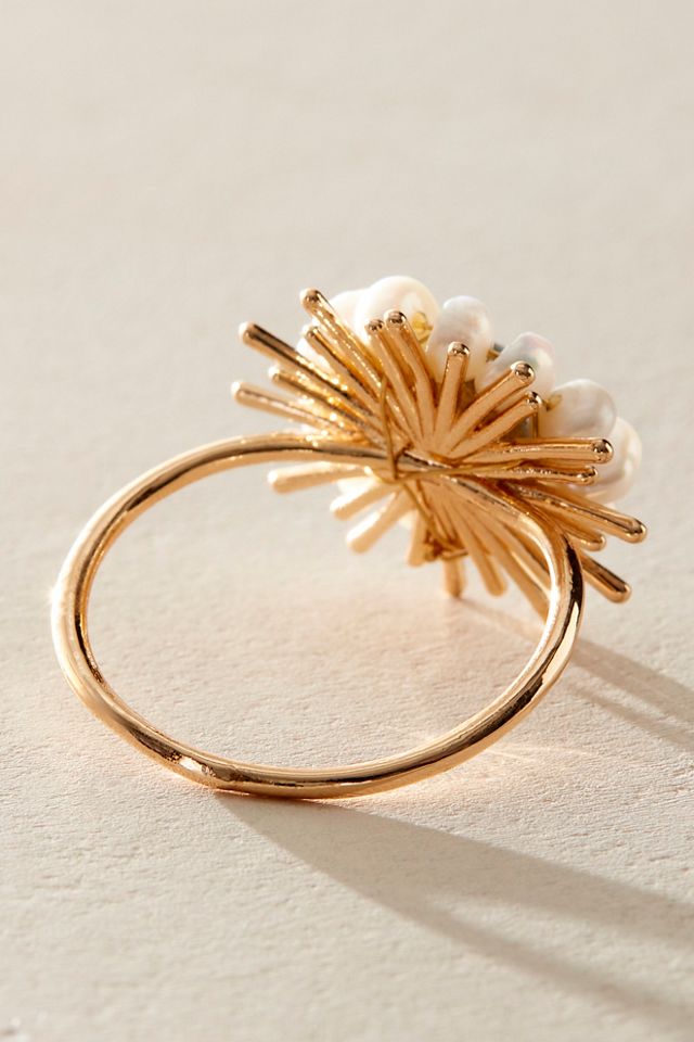 Ariana Ost Guidance Ring #2