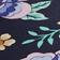 Periwinkle