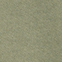 Eucalyptus