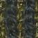 Army