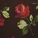 Rose Canopy
