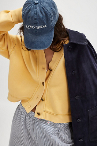 Thrills Meditation Panel Baseball Hat At Free People In Blue Ashes