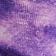 Iris Violet