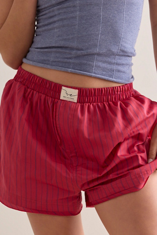 We The Free Day to Day Striped Boxers - thumbnail 6