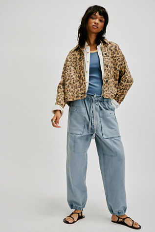 River Stone Pants at Free People in Autumn Sky, Size: Large