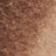 Black Walnut