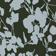 Ombre Olive