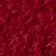 Sour Cherry