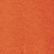 Tangerine Tango