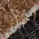 Terrain Bison