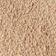 Coastal Dune / Sugar Berry