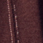 Coconut Shell