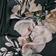 Rose Clair de Lune