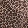 Leopard Sandstorm