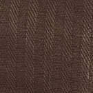 Brown Bear