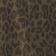 Leopard Land Green Combo