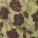 Clover Combo