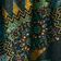 Paza Scarf Print
