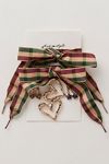 Shoe Lace & Charm Set