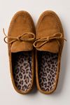 Seas The Day Mules